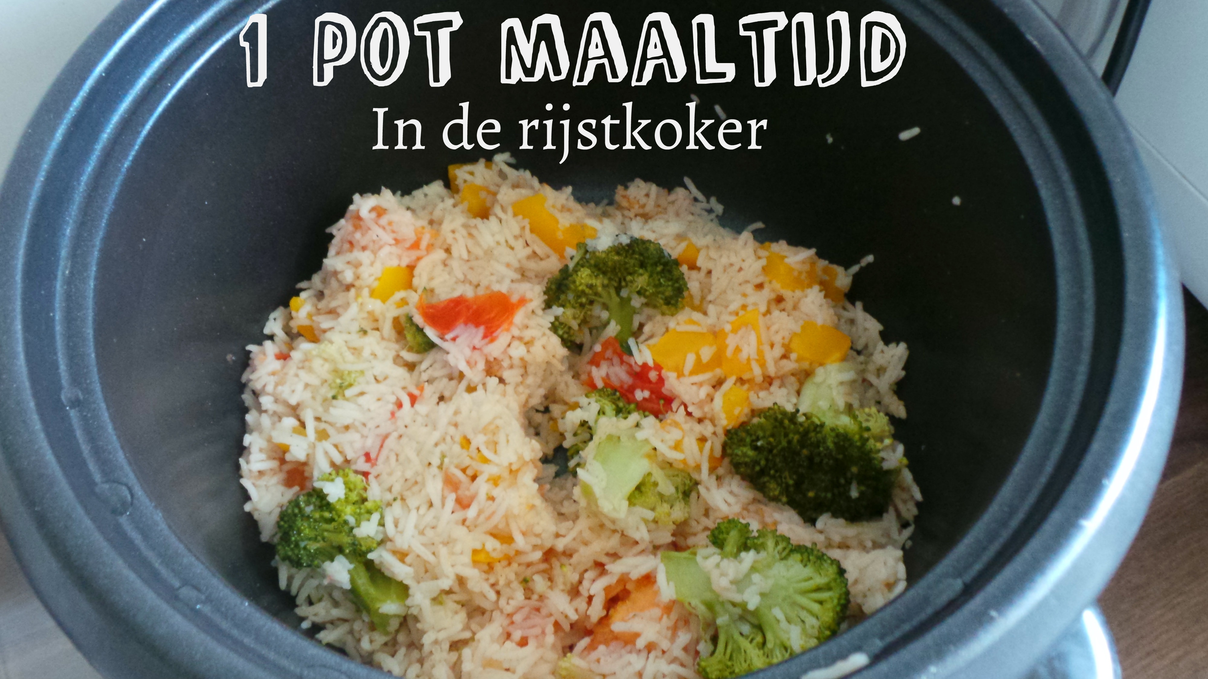Cilia Permanent Antipoison 1 pot maaltijd in de rijstkoker - Lifehack Recept - Tasty Nilou's